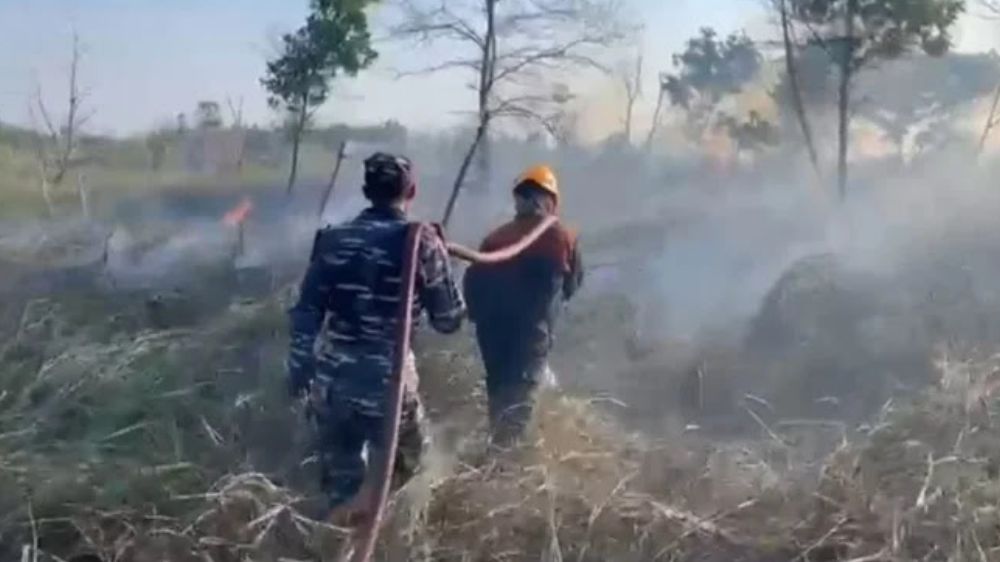 Karhutla Kembali Terjadi di Tarakan, Tiga Titik Kebakaran Lahan Tercatat dan Mengancam Lahan Pertanian Warga