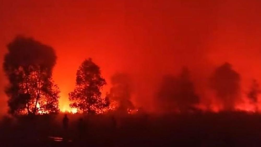 Kebakaran Way Kambas Belum Padam hingga Sabtu, Petugas Hadapi Lahan Kering dan Keterbatasan Sumber Air
