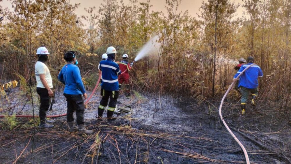 282 Hotspot Terdeteksi di Kaltara hingga September, Dishut Perkuat Kesiapsiagaan Karhutla