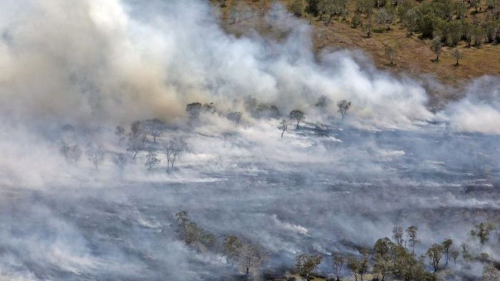 Kebakaran Lahan Nunukan Terjadi di Mansapa, 3 Hektare Lahan Terbakar