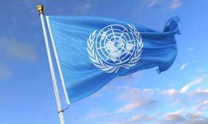 Kepercayaan Dunia untuk Indonesia: BPK Gabung Dewasa Pemeriksa PBB