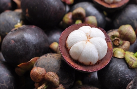 Benarkah Kulit Manggis Punya Banyak Khasiat? Ini Jawaban Peneliti 