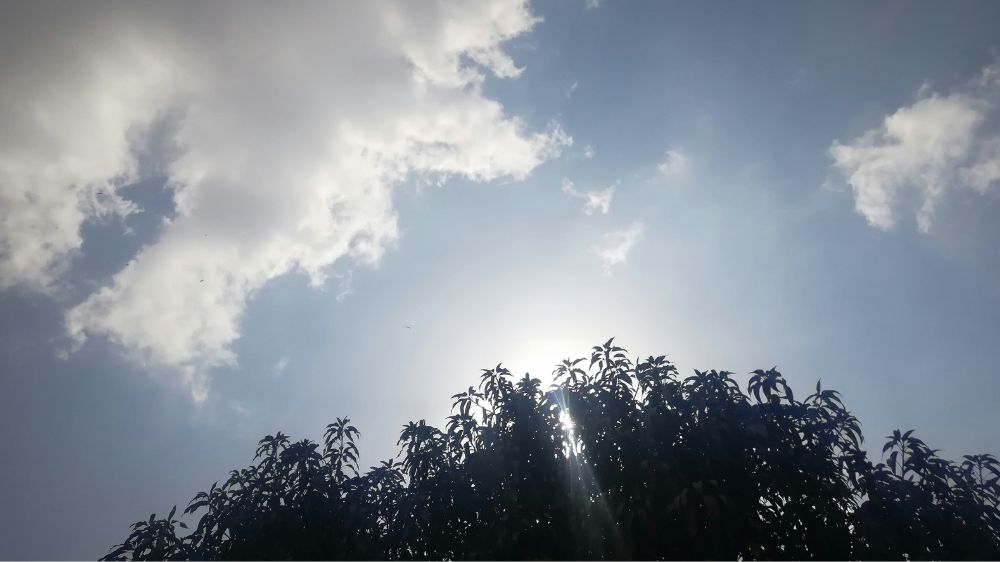 Cek Cuaca Hari Ini! 19 Januari 2026, Cuaca Kalimantan Utara Relatif Kondusif Tanpa Hujan Ekstrem