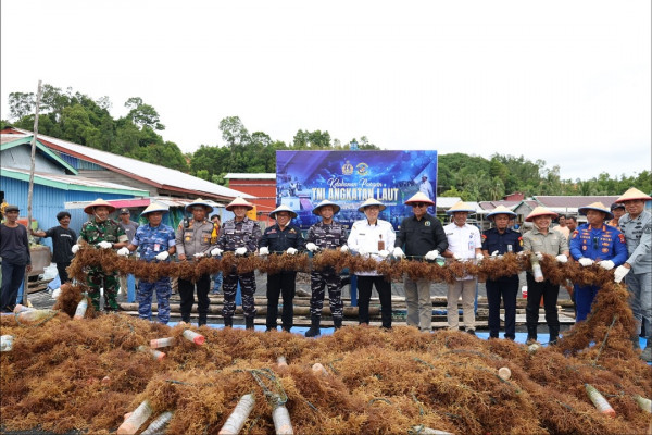Rumput Laut Melimpah! Wakil Wali Kota Tarakan Apresiasi Peran TNI AL Dukung Ekonomi Pesisir