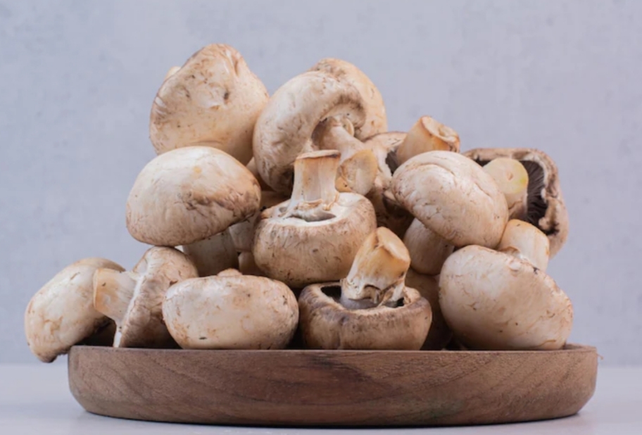 Punya Potensi Nilai Ekonomi tapi Riset tentang Jamur Masih Minim