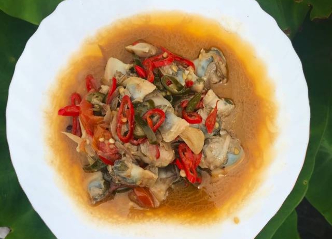 Resep Tumis Kapah, Olahan Kerang Segar Khas Tarakan