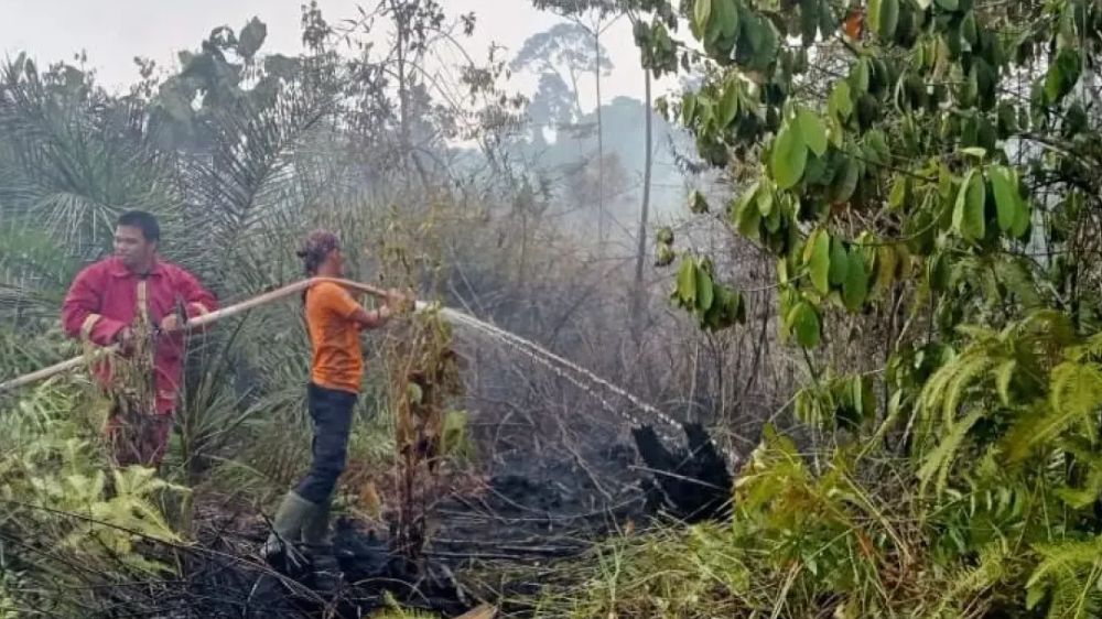 Karhutla di Nunukan Hanguskan Enam Hektare Lahan Persawahan dan Perkebunan di Lumbis serta Sembakung