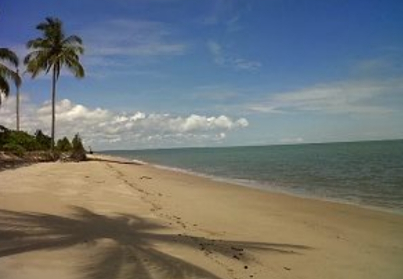 Pesona Pantai Kelapa Mangkupadi, Surga Tersembunyi di Bulungan yang Wajib Masuk List Kamu