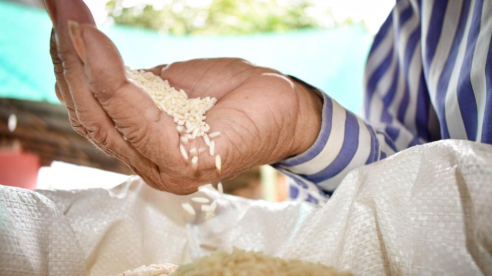 Stok Beras di Kaltara Dipastikan Aman hingga Enam Bulan dan Harga Terkendali