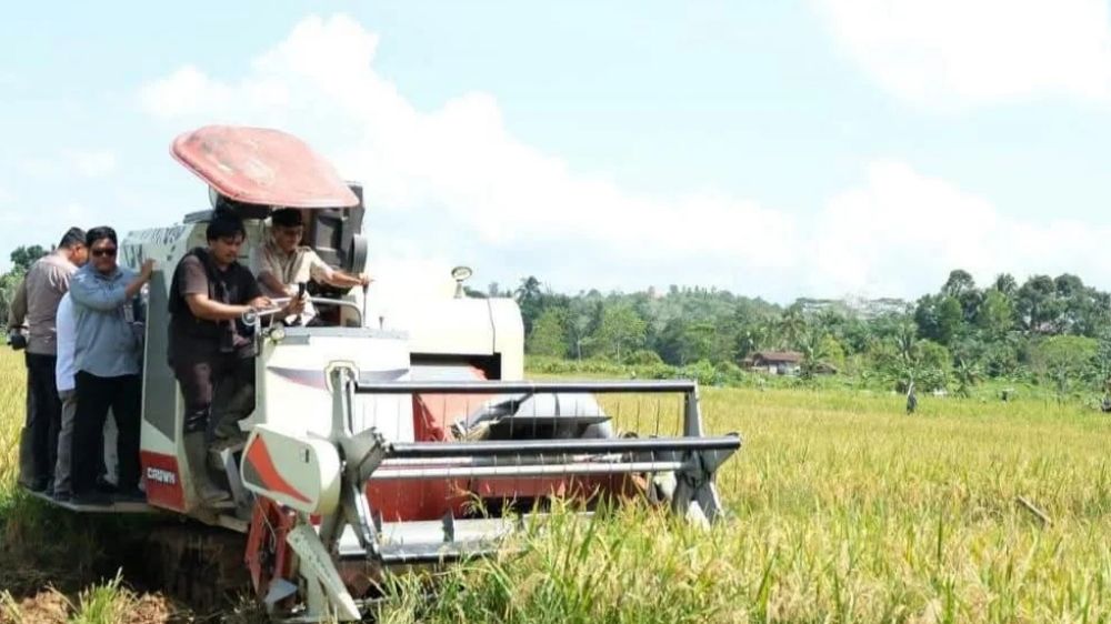 Panen Padi 2 Hektare di Desa Binusan Nunukan, Kelompok Tani Mattirowali Dukung Swasembada Pangan