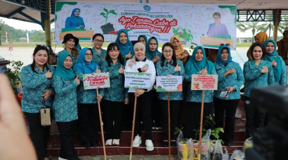 Mau Tanam Cabai Sendiri di Rumah, PKK Kaltara Kasih Bibitnya Gratis