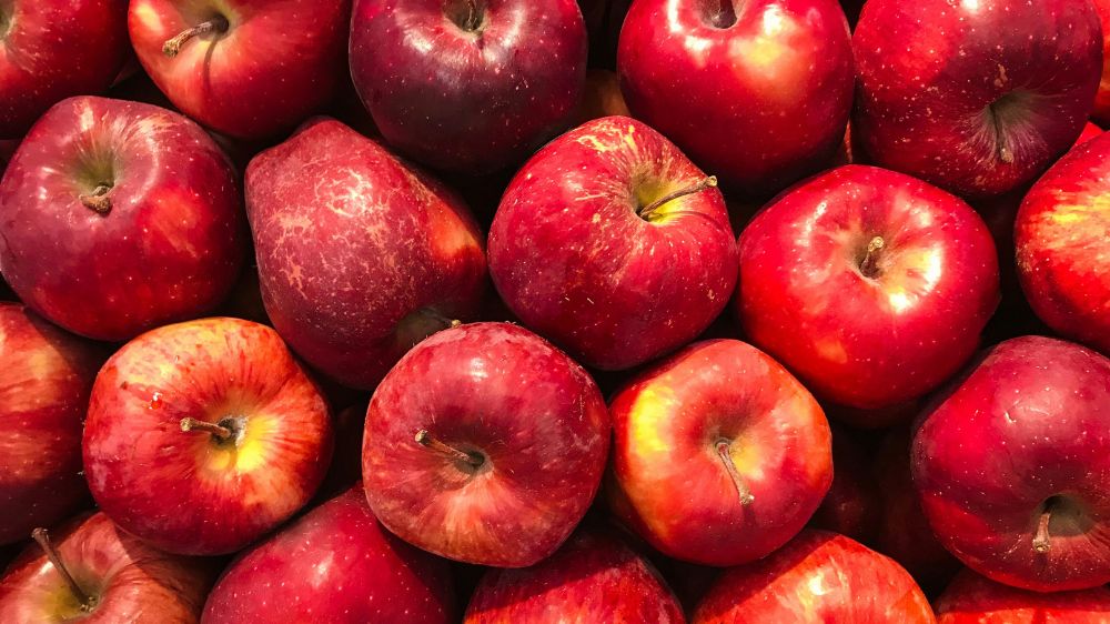 Khasiat Buah Apel yang Jarang Disadari, Baik untuk Imunitas, Kulit, dan Berat Badan