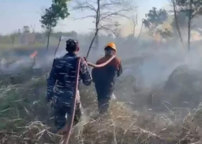 Karhutla Kembali Terjadi di Tarakan, Tiga Titik Kebakaran Lahan Tercatat dan Mengancam Lahan Pertanian Warga