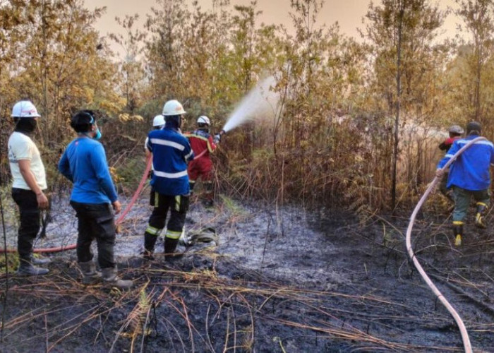282 Hotspot Terdeteksi di Kaltara hingga September, Dishut Perkuat Kesiapsiagaan Karhutla