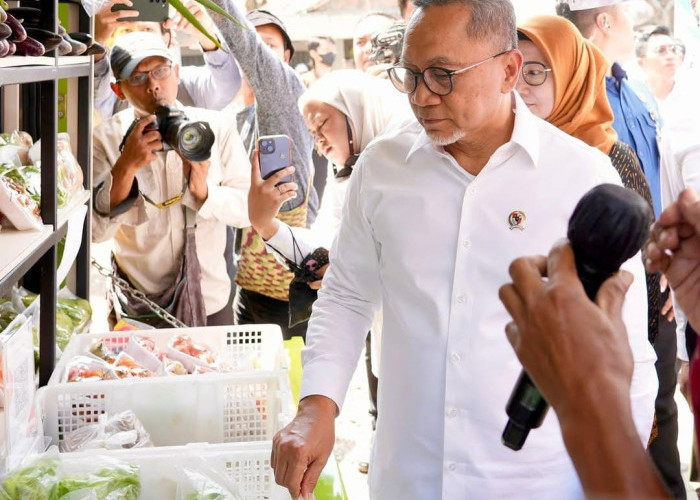 Target Swasembada Protein 2026, Pemerintah Siapkan 82,9 Juta Porsi MBG