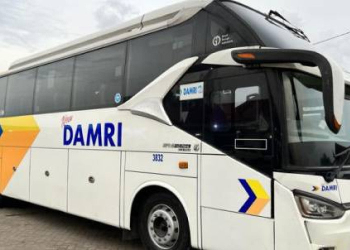 Promo Gede dari DAMRI! Diskon Tiket Bus Antar Kota, Cuma Sampai Oktober