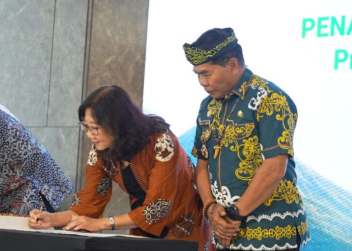 Dana Rp41,5 Miliar untuk Kaltara Akan Difokuskan untuk Rehabilitasi dan Penghijauan Hutan