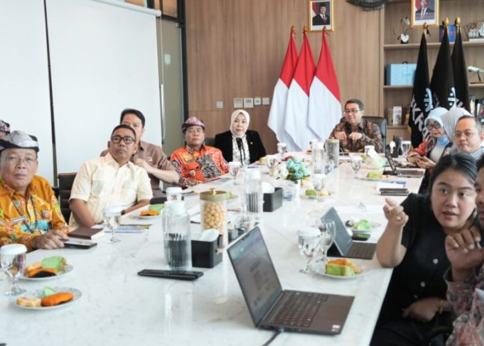 Audiensi dengan Menekraf, Gubernur Kaltara Dorong Hilirisasi Produk Lokal hingga Penguatan Ekonomi Kreatif