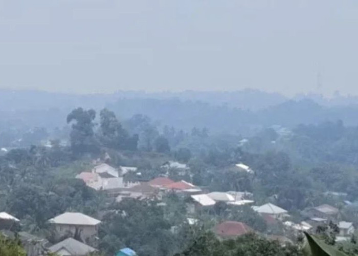 Kualitas Udara Tarakan Memburuk di Tengah Kabut Asap, DLH Ingatkan Warga Risiko Gangguan Pernapasan