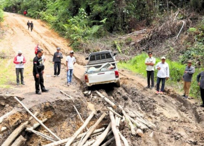 Terkini: Jembatan Putus di Malinau, Jalur Alternatif Mulai Dibangun Warga
