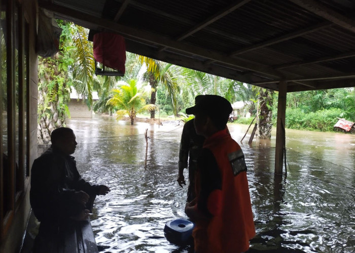 Kepala BNPB Lakukan Peninjauan Udara dan Percepat Distribusi Bantuan untuk Bencana Sumatera Utara