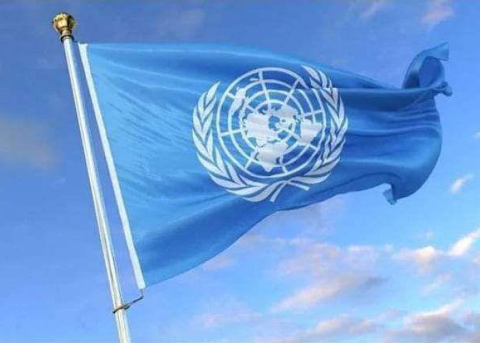 Kepercayaan Dunia untuk Indonesia: BPK Gabung Dewasa Pemeriksa PBB