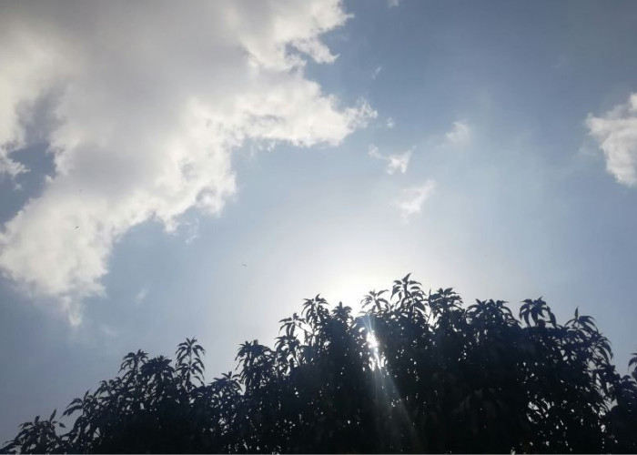 Cek Cuaca Hari Ini! 19 Januari 2026, Cuaca Kalimantan Utara Relatif Kondusif Tanpa Hujan Ekstrem