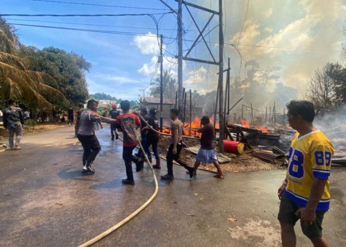 Si Jago Merah Mengamuk di Sekatak Buji, Penginapan hingga Kendaraan Ikut Terbakar