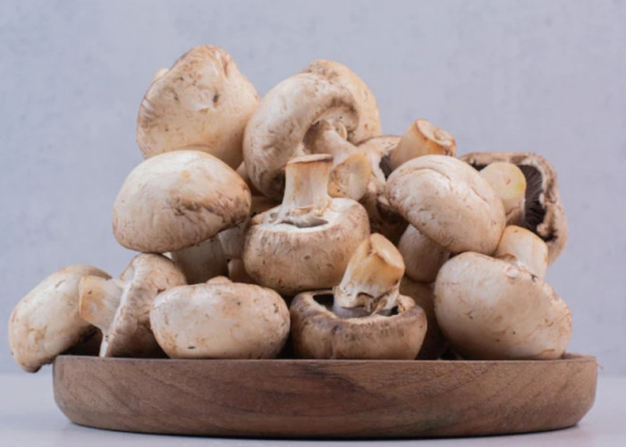 Punya Potensi Nilai Ekonomi tapi Riset tentang Jamur Masih Minim