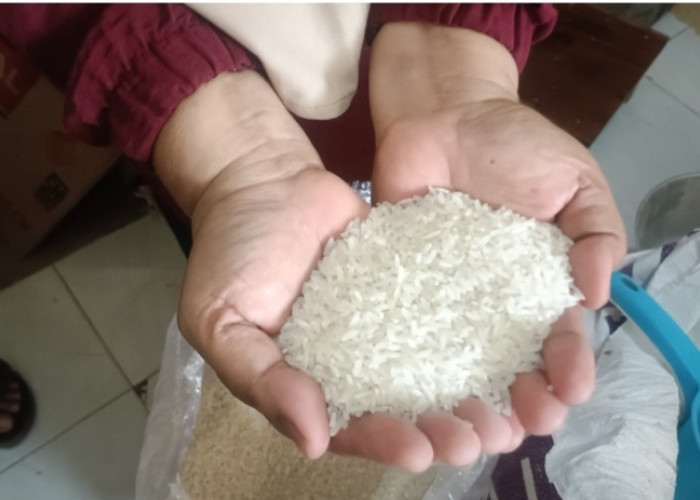 Jangan Tertipu Harga Murah, Konsumen Menjerit Akibat Beras Oplosan