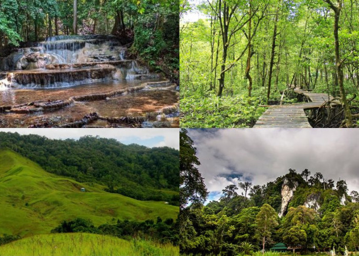 Rekomendasi Wisata Alam di Kalimantan Utara yang Wajib Masuk ke Dalam List Kamu!