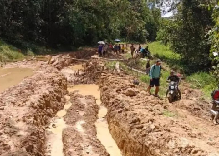 Kerusakan Jalan Krayan Selatan Ganggu Distribusi Logistik, Warga Krayan Selatan Hadapi Akses yang Kian Sulit