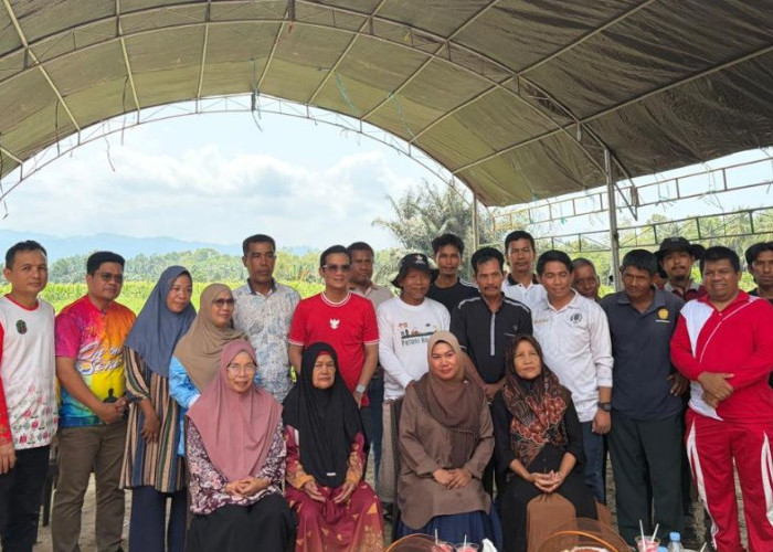 Panen Perdana Hortikultura di Selisun Nunukan, Semangka dan Jagung Manis Hasilkan Belasan Ton