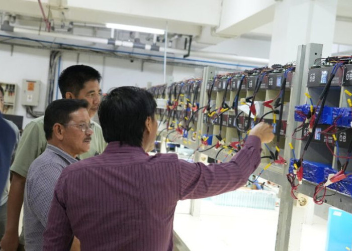 Tinjau Pabrik Energi Surya, Wagub Kaltara Targetkan Pemerataan Listrik hingga Desa Perbatasan