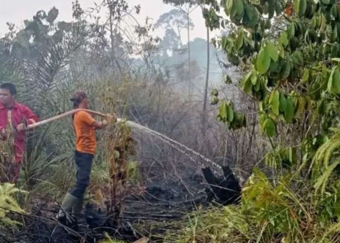 Karhutla di Nunukan Hanguskan Enam Hektare Lahan Persawahan dan Perkebunan di Lumbis serta Sembakung