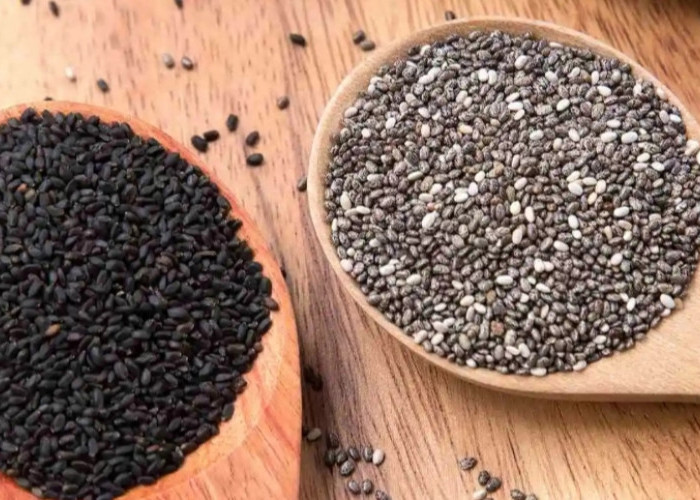 Buktikan Khasiat Biji Selasih untuk Kesehatan, Peneliti Sebut Tak Kalah dari Chia Seed