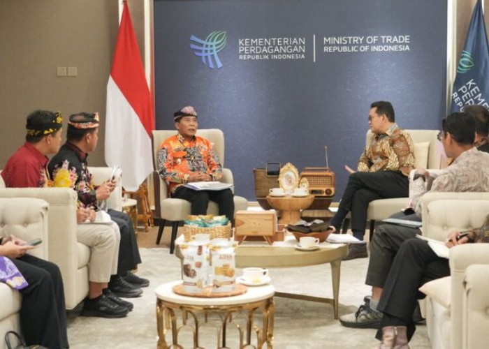 FTZ Krayan dan Sebatik Jadi Prioritas, Gubernur Kaltara Temui Mendag RI Bahas Penguatan Perdagangan