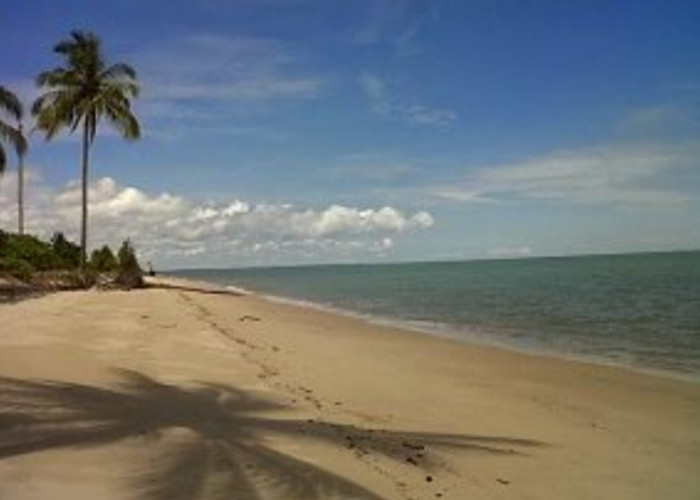 Pesona Pantai Kelapa Mangkupadi, Surga Tersembunyi di Bulungan yang Wajib Masuk List Kamu