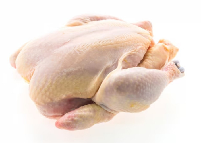 Kenapa Daging Ayam Pejantan Mirip Ayam Kampung? Ini Penjelasan Ahli