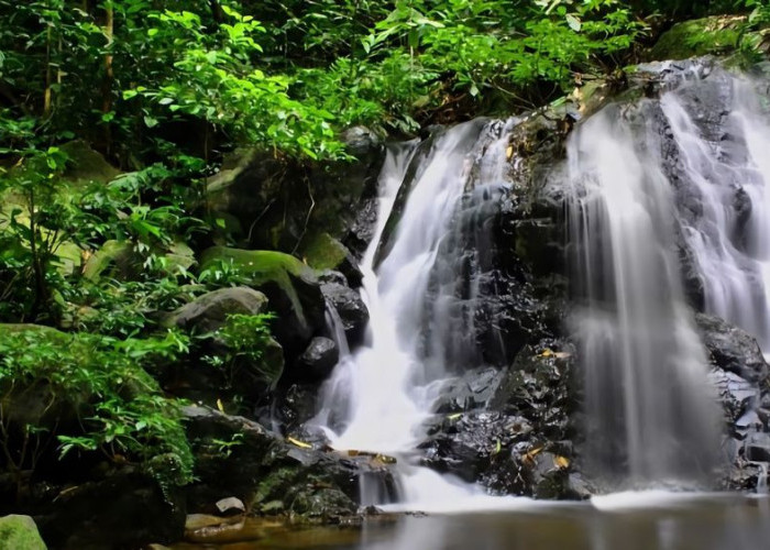 Tidak Perlu Bingung Berwisata di Kalimantan Utara, Ini Aktivitas Seru dan Rekomendasi Tempatnya!