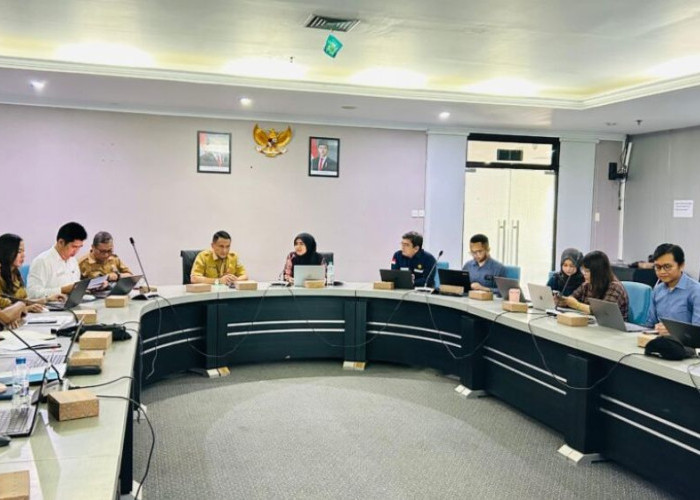 Pemprov Kaltara Bahas Pemerataan Akses Listrik dan Pengembangan Energi Hijau