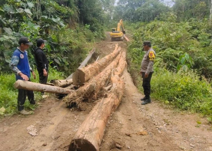 Sempat Terputus Sepekan, Akses Perbatasan di Malinau Mulai Pulih Bertahap Usai Perbaikan Darurat