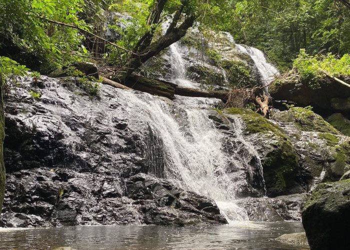 Liburan Akhir Tahun? Ini 5 Destinasi Wisata Terbaik di Kalimantan Utara! 