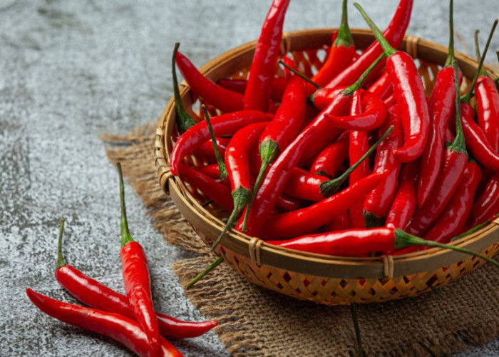 Tips Menyimpan Cabai di Rumah Supaya Awet Sampai Berminggu-minggu