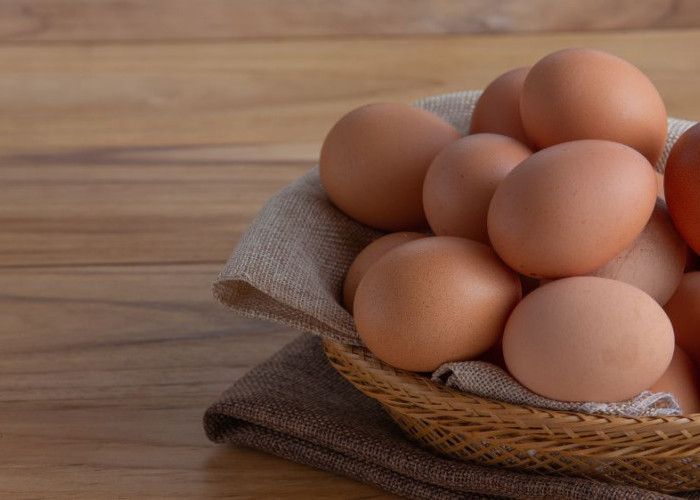 Bukan Hanya Sumber Protein, Ini Manfaat Makan Telur untuk Kesehatan Tubuh yang Perlu Diketahui