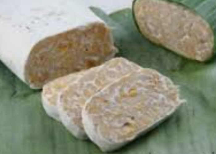 Kenali Manfaat Mikrobiom untuk Perkuat Imun, Ada di Tempe, Tape, Yogurt