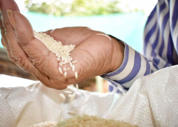 Stok Beras di Kaltara Dipastikan Aman hingga Enam Bulan dan Harga Terkendali