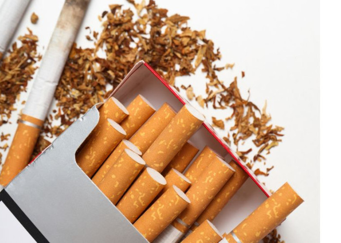 Ribuan Batang Rokok Ilegal Dimusnahkan, Bea Cukai Tarakan Ungkap Tembakau Tanpa Pita Cukai Masih Beredar