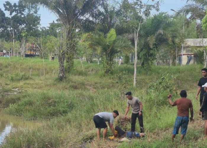 Diserang Buaya Saat Cari Rumput, Ibu Paruh Baya Berhasil Dievakuasi Polisi