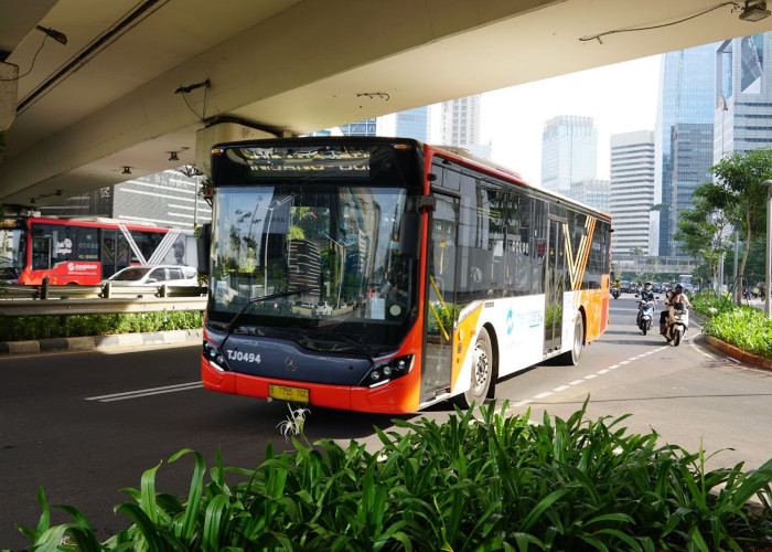 Transportasi Umum Gratis di Jakarta 2025: Cara Membuat Kartu Layanan Gratis (KLG) 